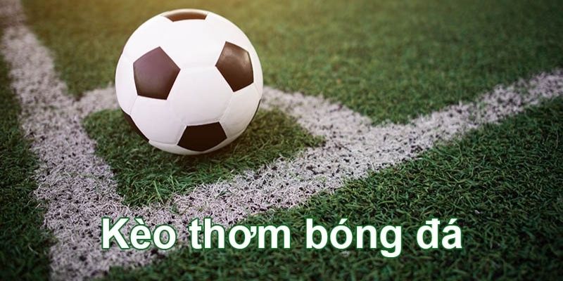 Kèo Thơm Là Gì? Giải Đáp Chi Tiết Cho Cược Thủ King88 2 Cách hiểu đúng về kèo thơm để tăng cơ hội thắng